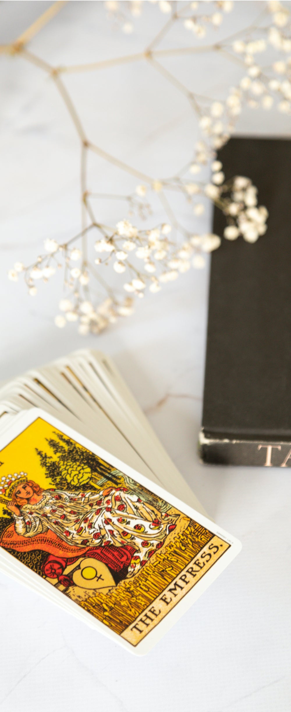 Tarotdeck, tarot, tarotboek, the empress card op witte ondergrond, de keizerin