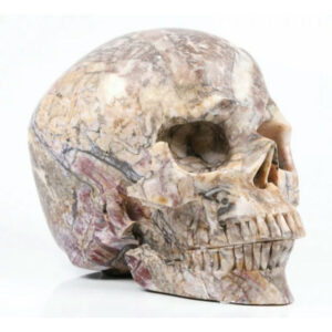 Pietersiet Schedel, 1263 gram